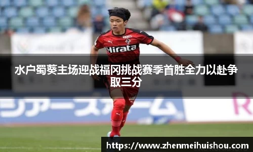 米乐yy体育