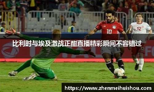 比利时与埃及激战正酣直播精彩瞬间不容错过