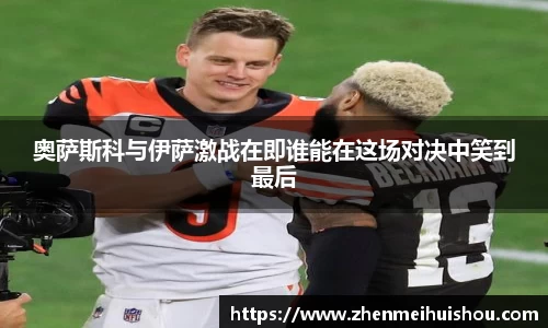 米乐yy体育